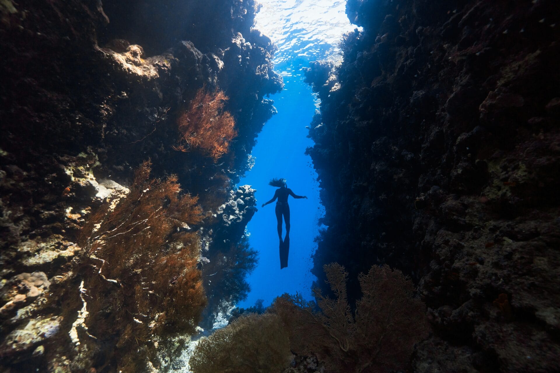 Great Barrier Reef (Mesoamerican Barrier Reef System)